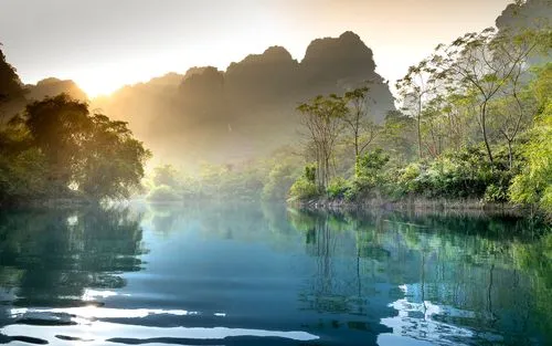 绿色高性能